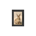 Gallery Frame