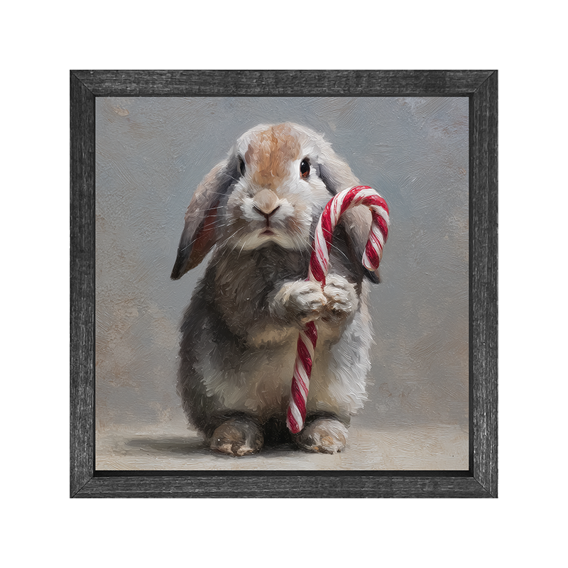 Holiday Bunny - Christmas