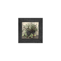 Gallery Frame