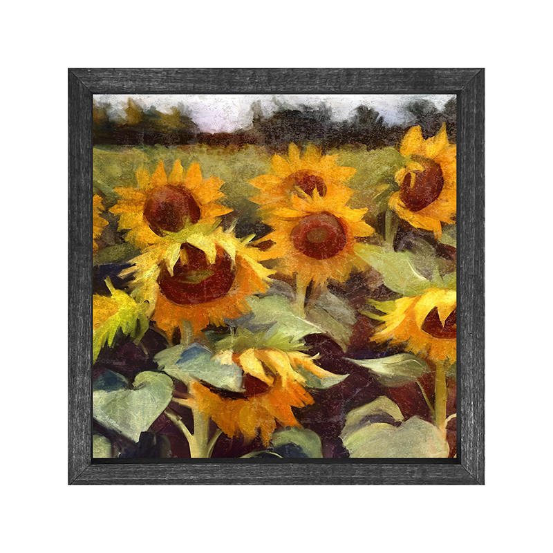 Scenic Sunflowers