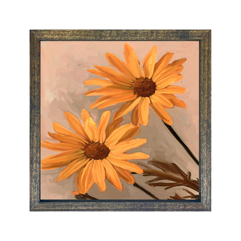 Daisies