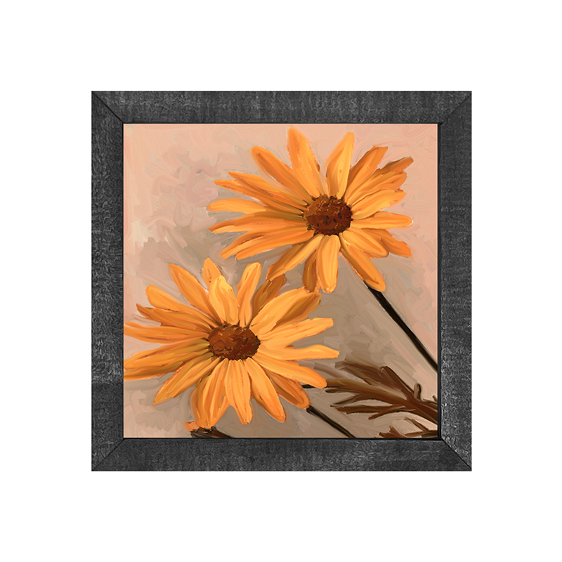 Daisies