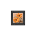 Gallery Frame