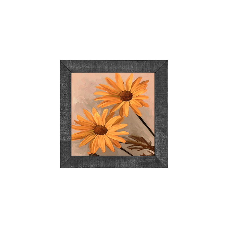 Daisies