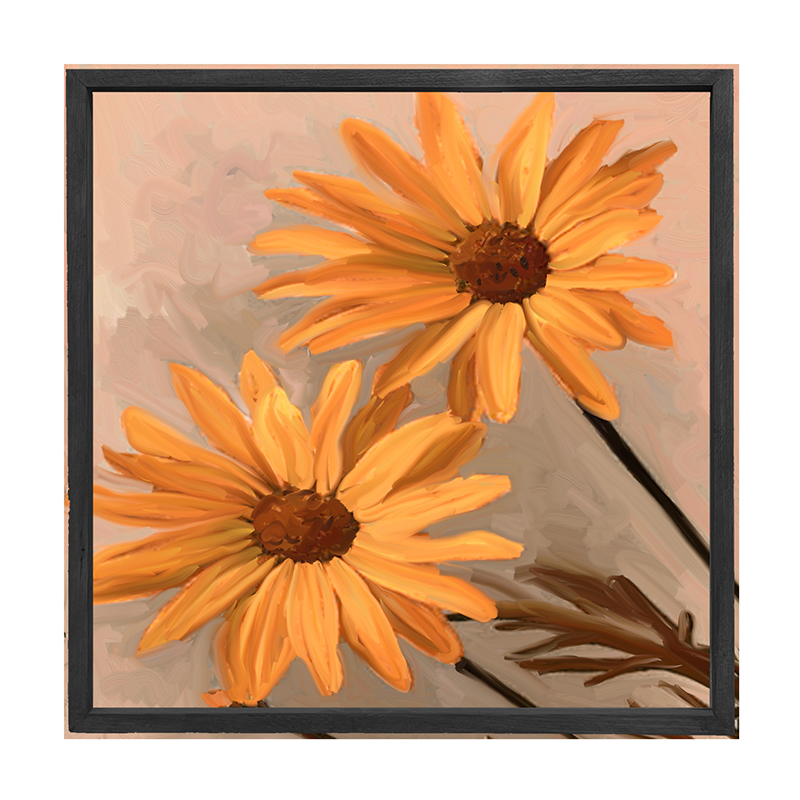 Daisies
