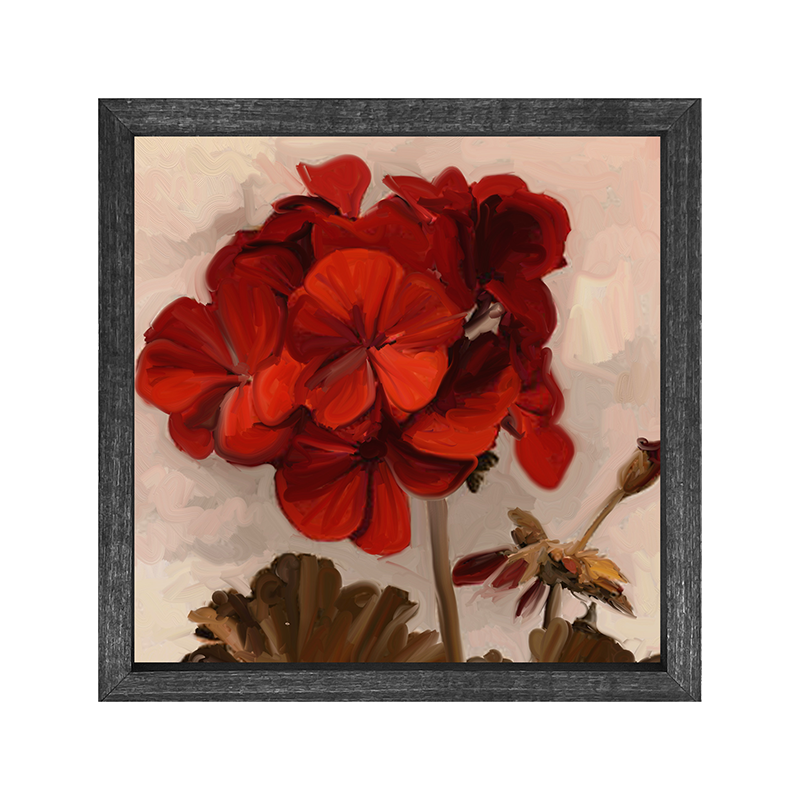Geranium