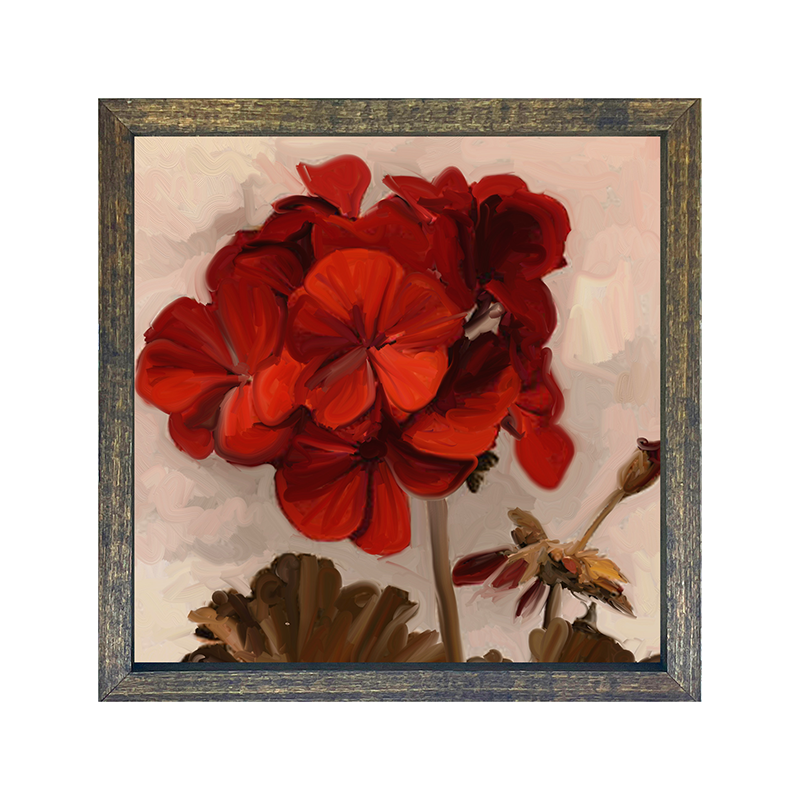 Geranium