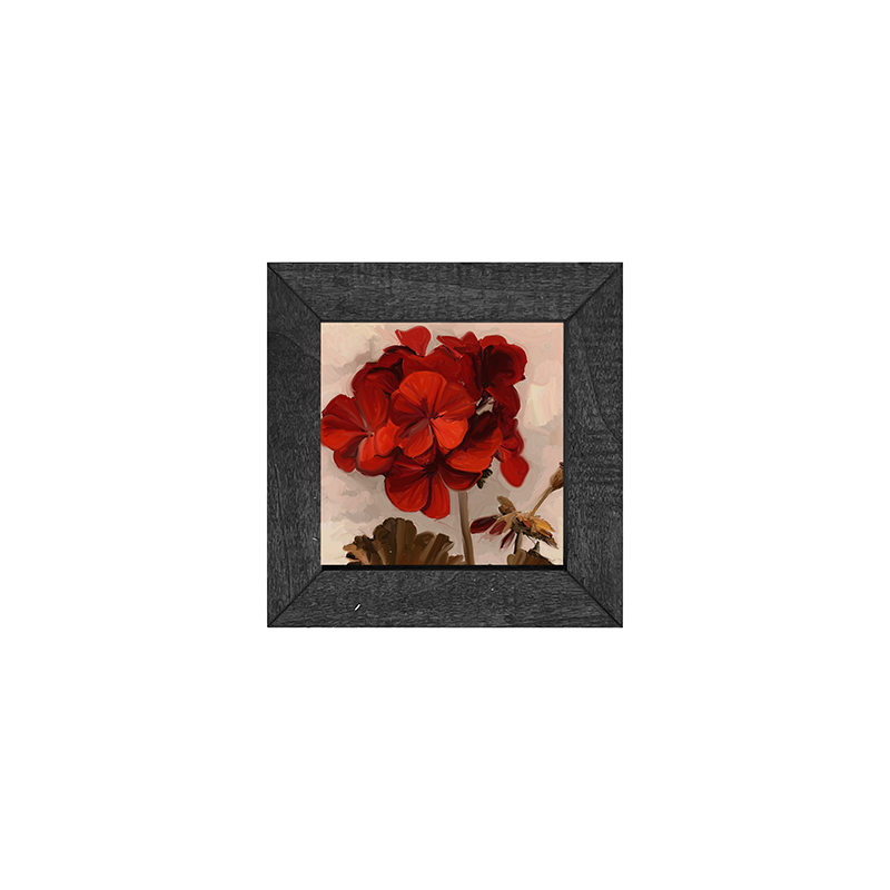 Geranium