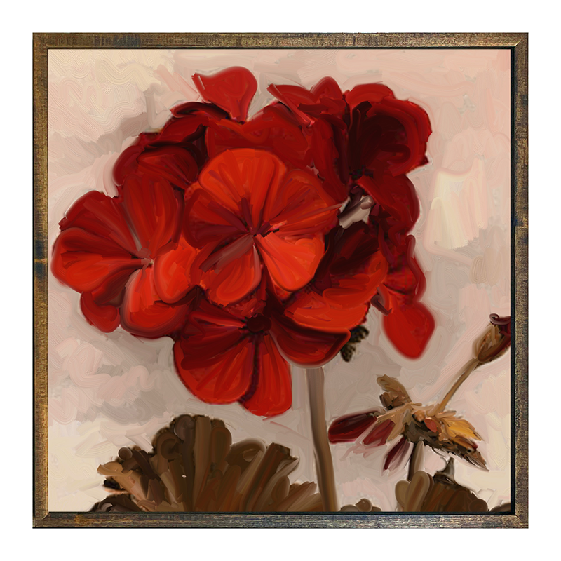 Geranium
