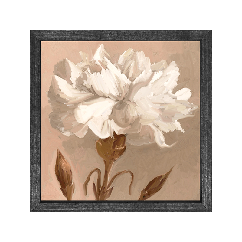 Carnation