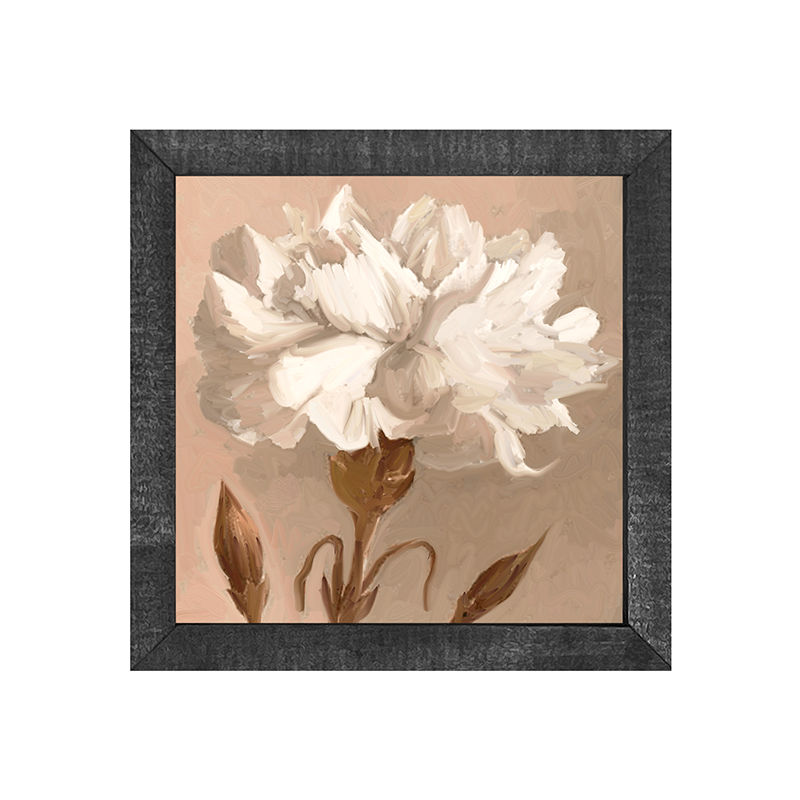 Carnation