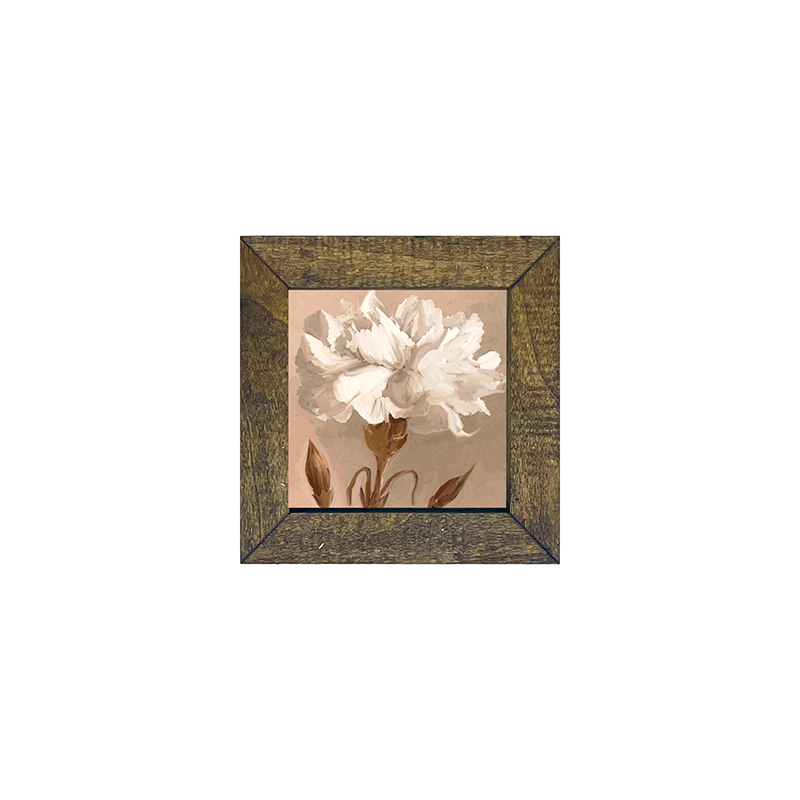 Carnation