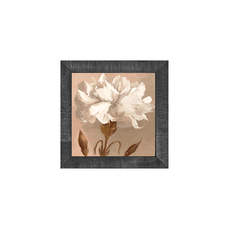 Carnation