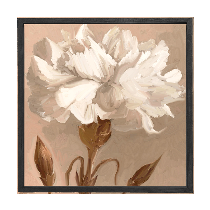 Carnation