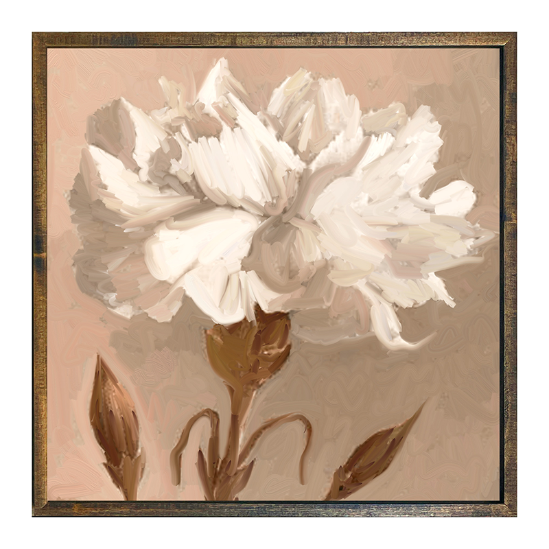 Carnation