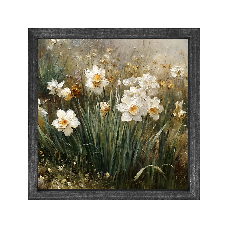 Patch of White Daffodils