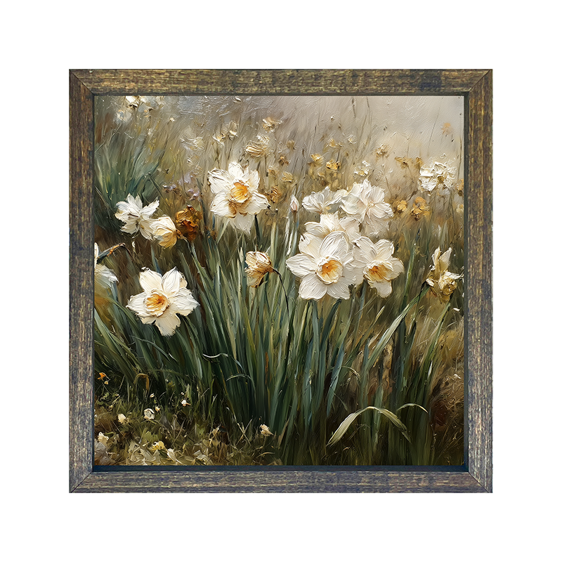 Patch of White Daffodils