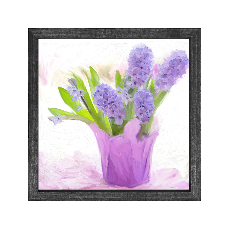 Hyacinth in a pot