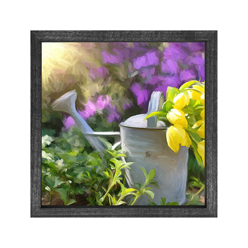 Tulips in watering can