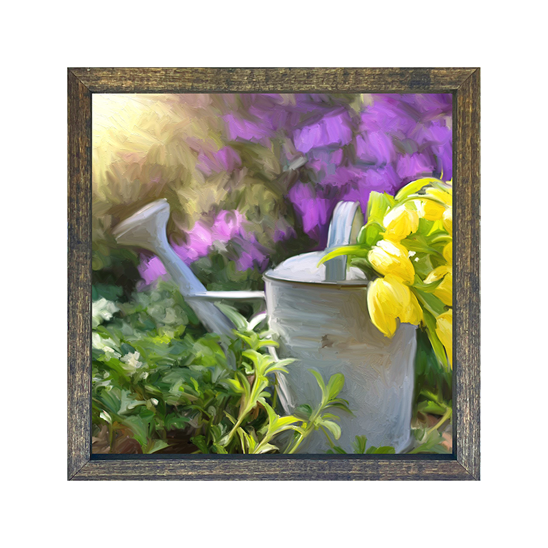 Tulips in watering can