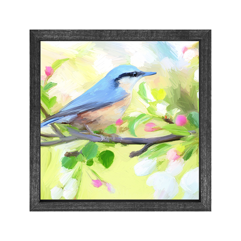 Nut Hatch Blue Bird