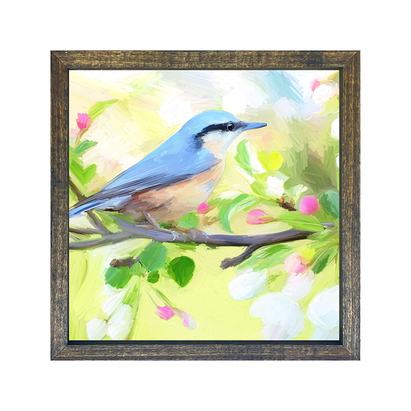 Nut Hatch Blue Bird