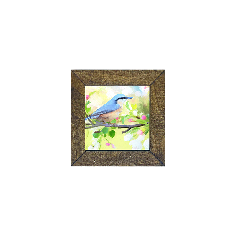 Nut Hatch Blue Bird