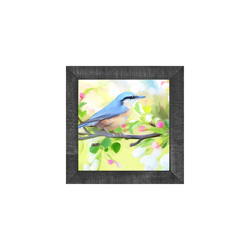 Nut Hatch Blue Bird