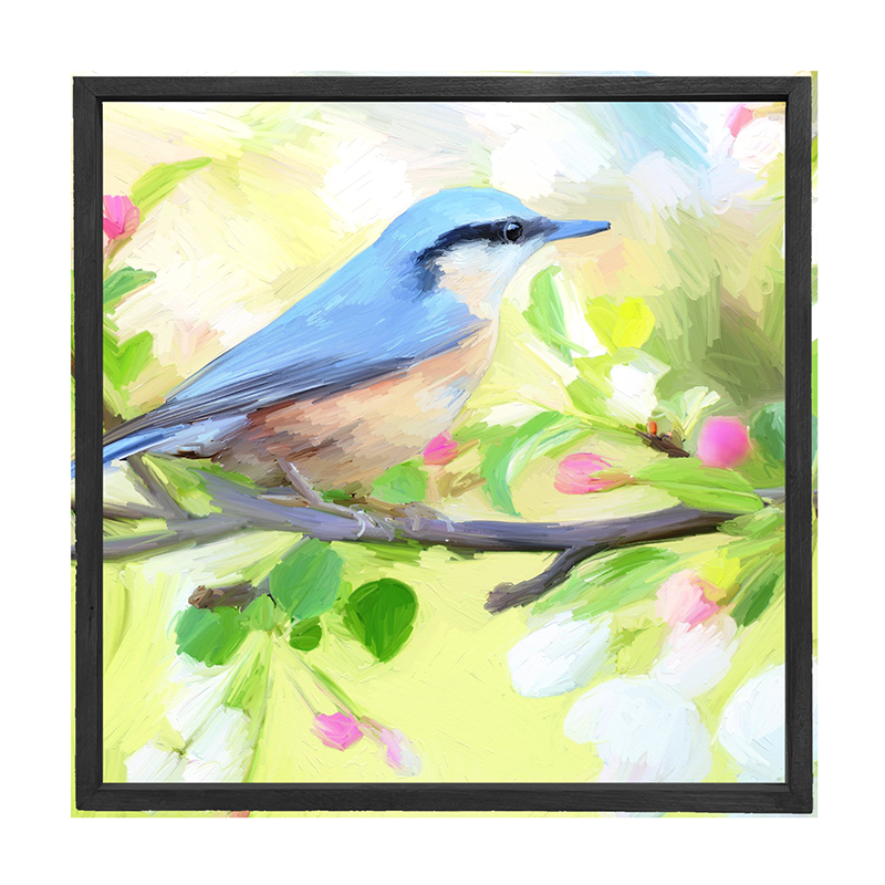 Nut Hatch Blue Bird