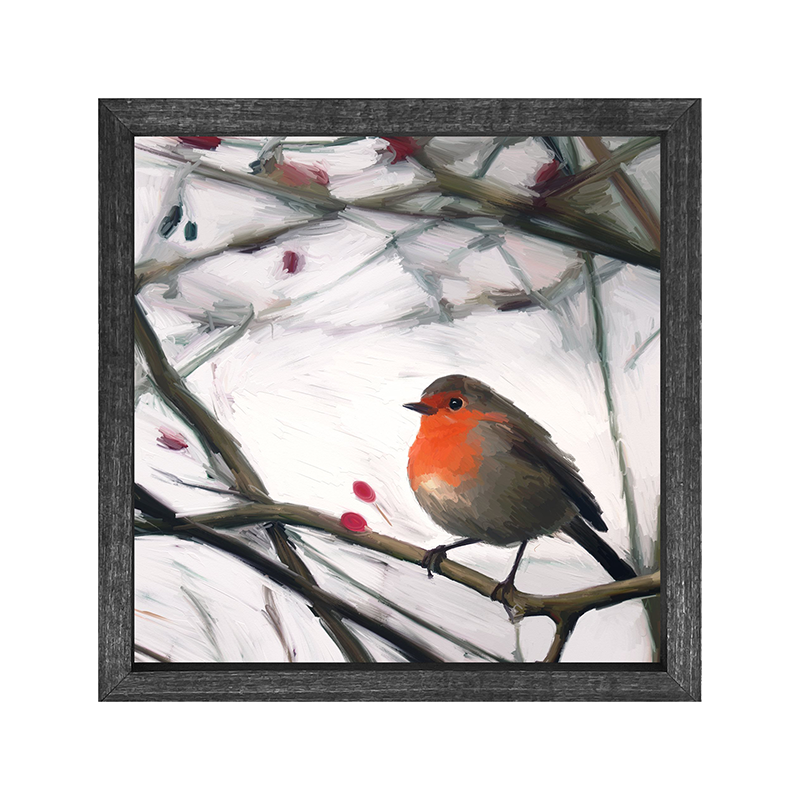 Robin - English