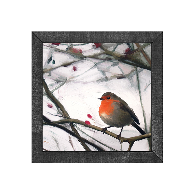 Robin - English