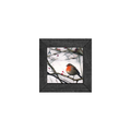 Gallery Frame