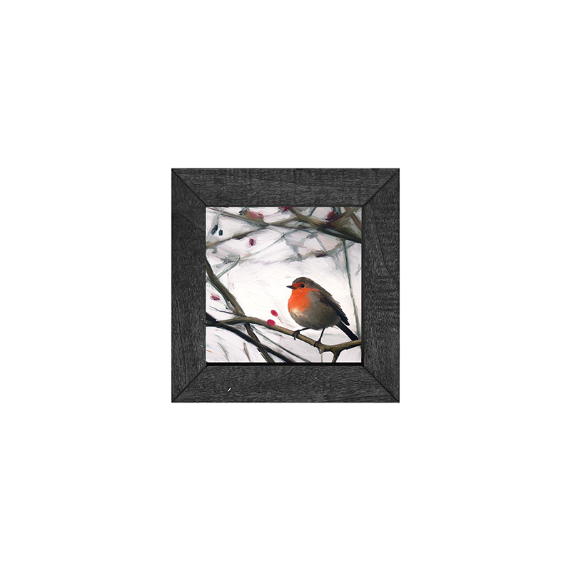 Robin - English
