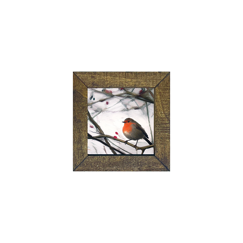 Robin - English