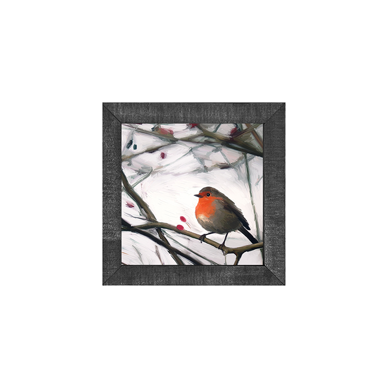 Robin - English