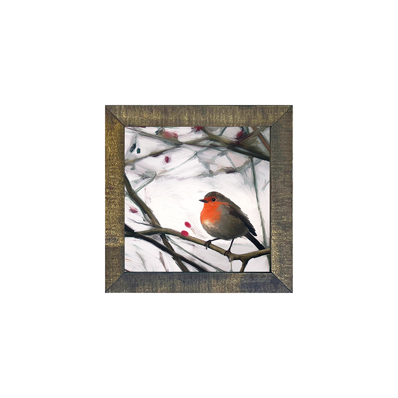 Robin - English