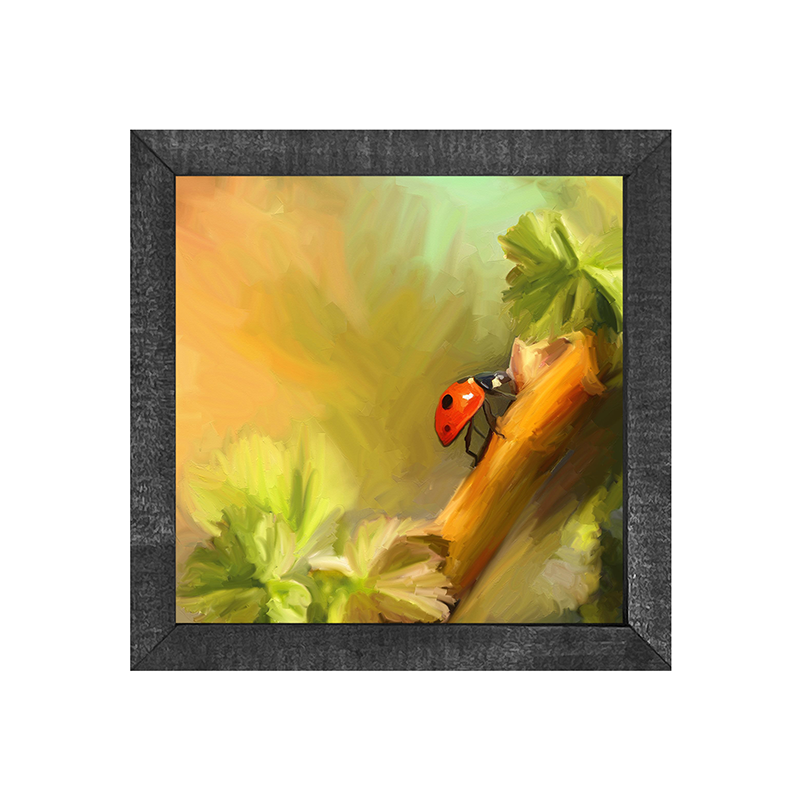 ladybug