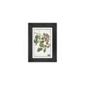Gallery Frame