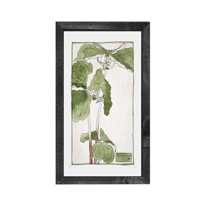 Watercolor greens