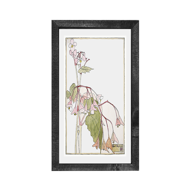 Watercolor pink flowers