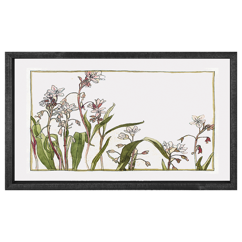Watercolor Flowers
