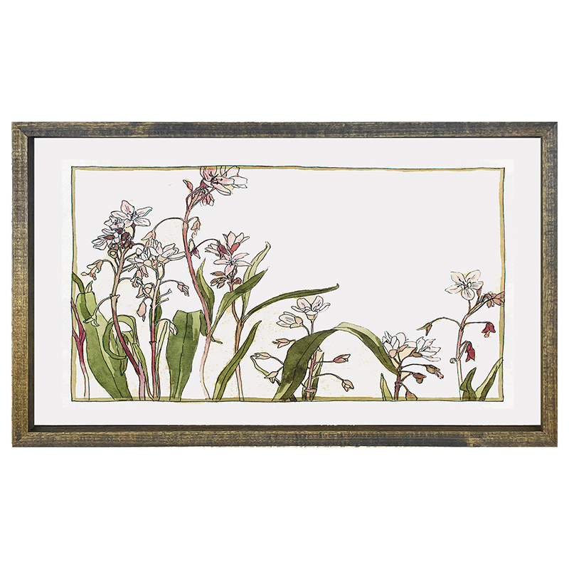 Watercolor Flowers