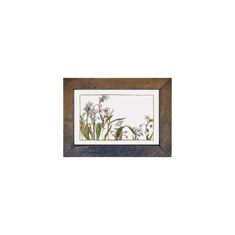 Watercolor Flowers