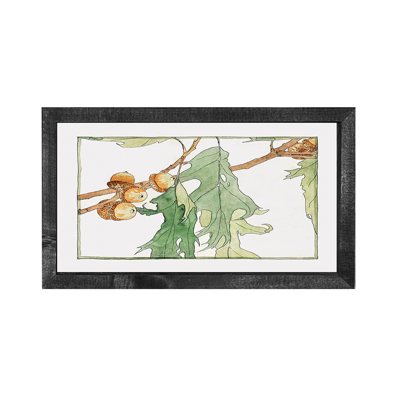 Watercolor oak tree