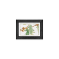 Gallery Frame