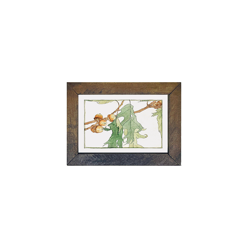 Watercolor oak tree