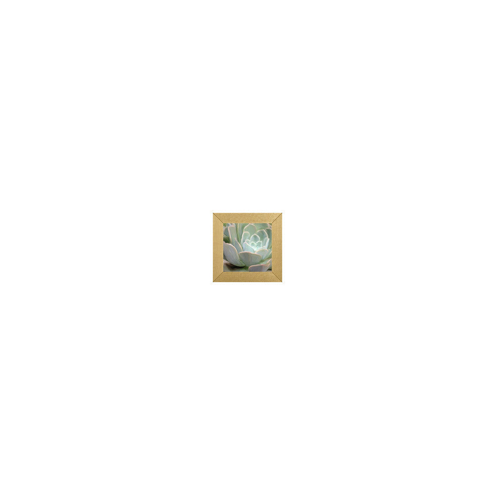 FL-354 in Metallic Gold Gallery Frame, M