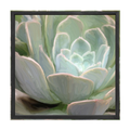 Gallery Frame
