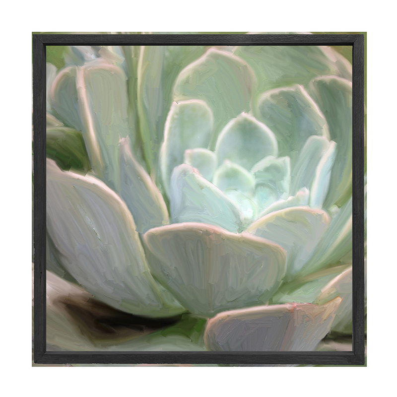 Succulents