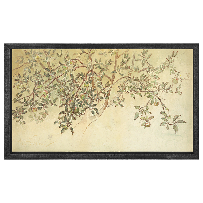 Applebranch